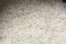 有营养的大米