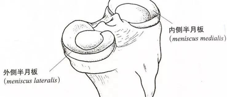 膝关节肿胀、弹响、打软腿,半月板损伤的康复治疗不能忽视