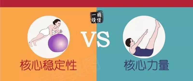 【区分】核心稳定性与核心力量的区别