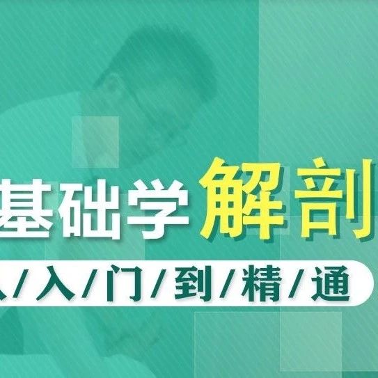 精通“难搞”解剖学,9个模块,88个核心知识点,一套课程就够了!