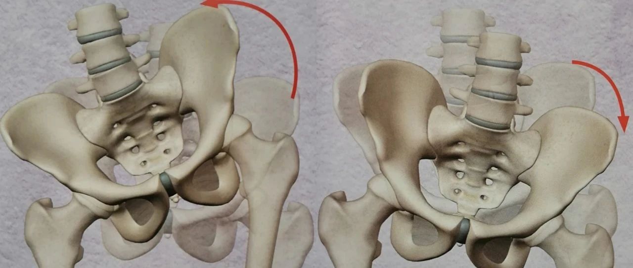 骨盆前倾、后倾、左歪、右斜?教您三步“摆正”骨盆!