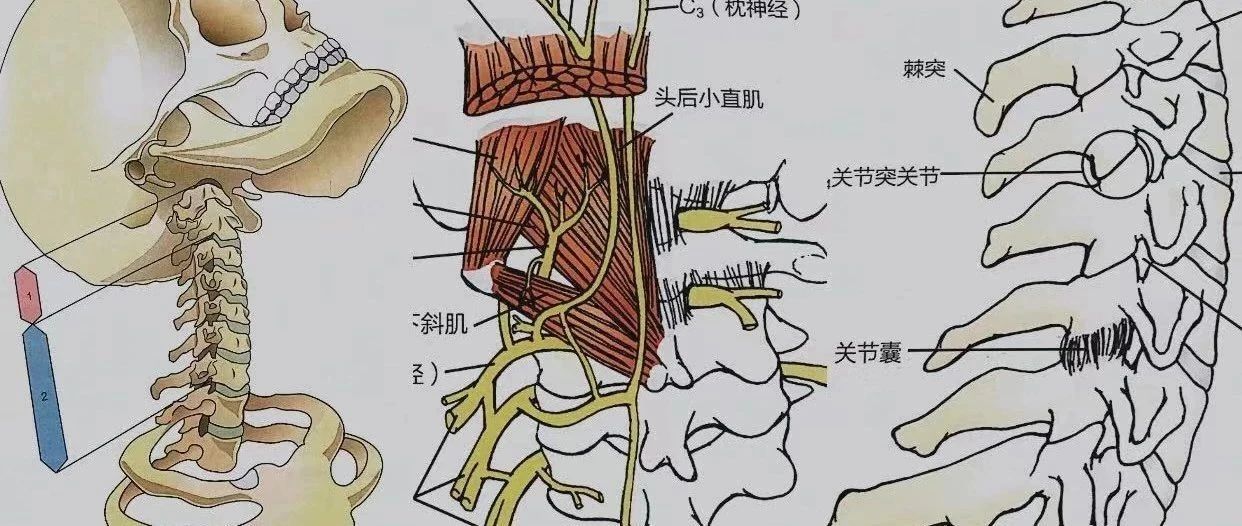 颈椎病分6种,你是哪一类?简单4招教你选枕头护颈!