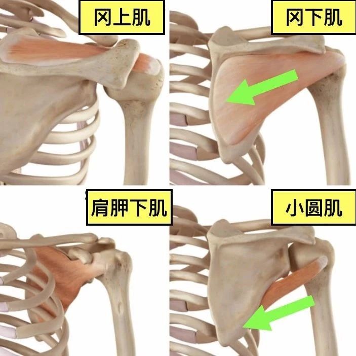 如何避免鼠标肩的问题?