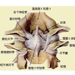 颈椎肌骨功能紊乱评估与治疗