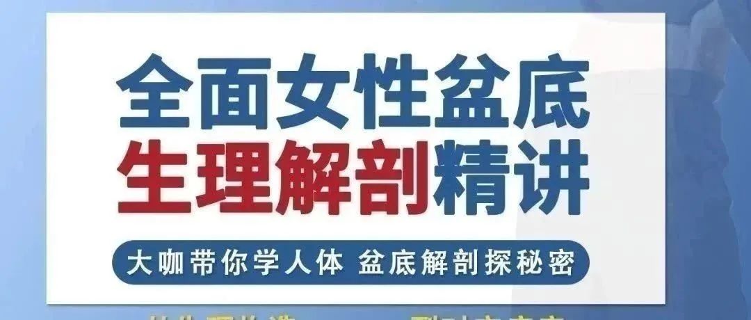 从生理构造到对应病症,全面夯实盆底生理解剖基础!