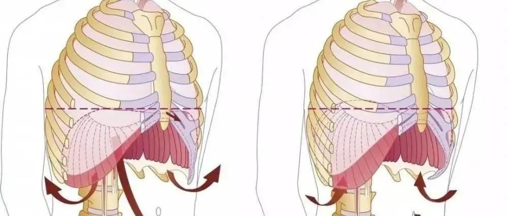 呼吸纠正训练,这三个动作必须做