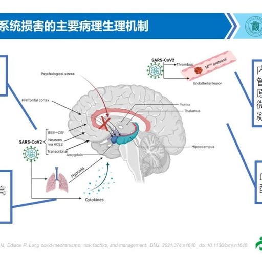 COVID-19神经系统损害与康复