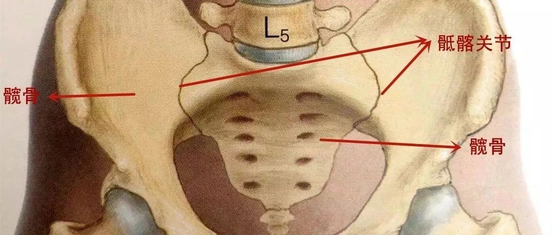 腰痛不一定是腰突，骶髂关节错位可能是主因！一次性教你鉴别诊断