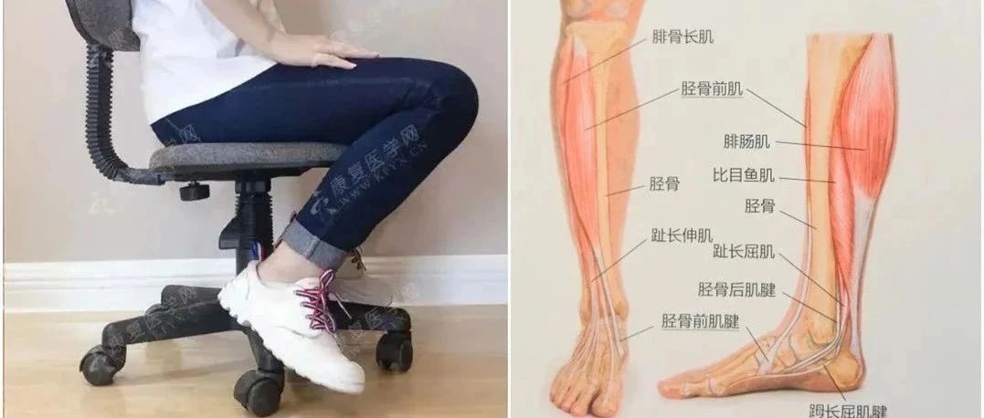 脚背痛，踝前痛竟跟这个姿势有关！8个动作帮你预防~